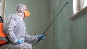 Biohazard Mold Removal in Hummelstown, PA